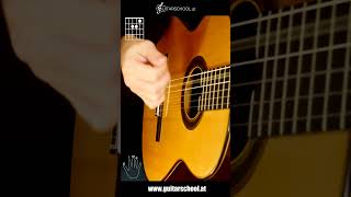 Rumba flamenca Solo Guitar  Tutorial with Chords [upl. by Eiramac]