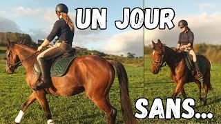 MAUVAISE SEANCE 😭 Et Gros rangement de lécurie 🤩 [upl. by Dodi750]