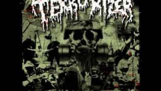 Terrorizer Crematorium 2006 [upl. by Ainnek959]