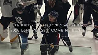 Tyler McNeil NAHL Lone Star Brahmas 2020 Main Camp amp AllStar Game Highlight Reel [upl. by Geanine]