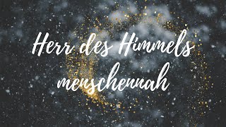 Herr des Himmels menschennah Lyric Video [upl. by Llevol]