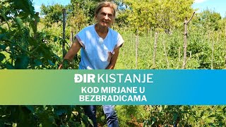 Äir Kistanje  Kod Mirjane u Bezbradicama [upl. by Segal]