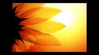 Chillout  Sounds of Isha  Neem and Turmeric [upl. by Ashjian]