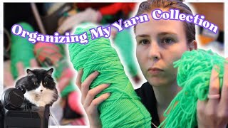 Organizing My ENTIRE Yarn Collection  Crochet Vlog [upl. by Cock472]