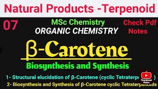 βCarotene  Biosynthesis and Synthesis STRUCTURE ELUCIDATIONS mscchemistrynotes carotenoids [upl. by Naivat44]