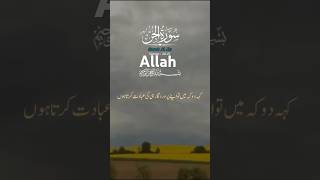 Quran With Urdu Translation allah [upl. by Naaman]