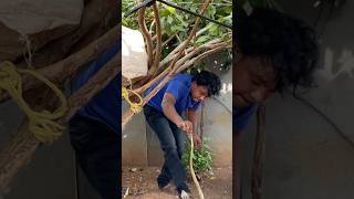 Indian cobra snake rescue shorts viralvideos trending [upl. by Dickson]