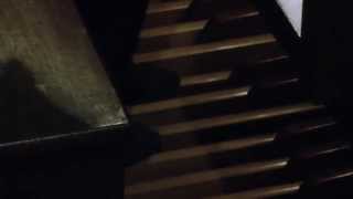 Antonino Buschiazzo  Organ Improvisation [upl. by Clint]