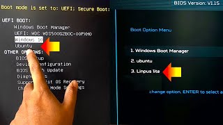 How to Delete UEFI Boot option from BIOS Boot Manager in Windows 11 10 [upl. by Kerin168]