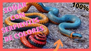 🔺que significa SOÑAR con CULEBRAS pequeñas de COLORES🐍🐍 [upl. by Serena]