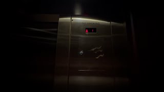 Schindler Hydraulic Elevator near Nordstrom at Phipps Plaza in Buckhead Atlanta [upl. by Dnaltiac]