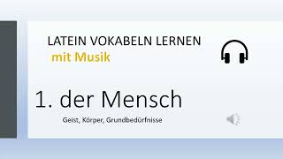 👂 EINFACH LATEIN VOKABELN LERNEN 1 der Mensch  fürs Latinum 📚  beim Schlafen hören mit Musik 😴🎵 [upl. by Jansson]