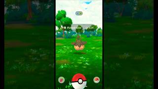 Catching HUGE XXL Pumpkaboo in Pokemon GO Shorts Pumpkaboo PokemonGOGameplay [upl. by Adnah]