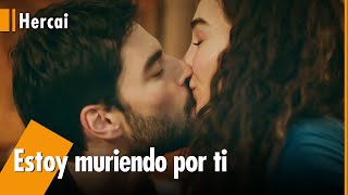 Eres mi milagro Reyyan ✨  Hercai hercaiespanol [upl. by Naeruat]