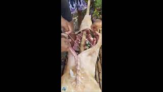 BOY KAON VLOGS is live DEBONE LIVE PIGMEAT LECHON CEBU PREPARE PUT LEMON GRASS AND STITCHED debone [upl. by Atinaujnas]