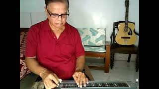 quotTAKHAN TOMAR EKUSH BACHARquot in Hawaiian Guitar by PARTHA DASGUPTA [upl. by Shirlie]