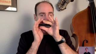 David Barrett on tongue blocking Harp to Harp 12 harmonica interview by Liam Ward [upl. by Aela]