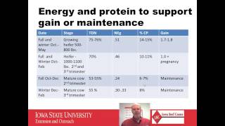 Nutrition of Developing Beef Heifers [upl. by Behah790]