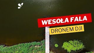 Wesoła Fala w Mysłowicach Zobacz koniecznie [upl. by Analad100]