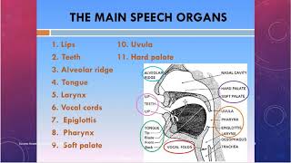 Phonetics vowels consonants ugtrbenglish ugtrb pgtrb successacademyerode phonetics phonetic [upl. by Alena388]