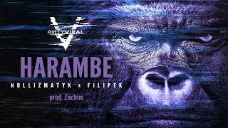 Nullizmatyk X Filipek  Harambe prod Zachim [upl. by Letsirc696]