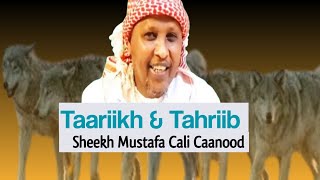 Taariikh amp Tahriib  Sh Mustafa Cali Caanood [upl. by Enyahc]