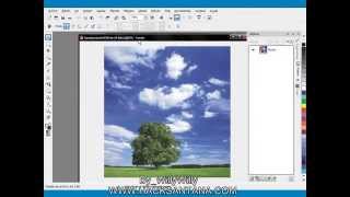 Fotomontaje Corel Photo Paint [upl. by Cherice551]