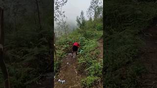 Ada Sumber Mata Air Di POS 3 Gunung Lawu Via Babar [upl. by Nigrom]