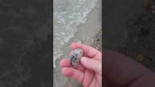 Petoskey stone at airbnbcomhjeremiahlakehouse [upl. by Rea]