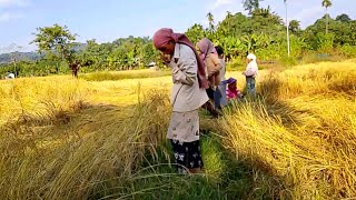 Salgimik nengoba dikdiksa golpona 🙂 [upl. by Sheffield]