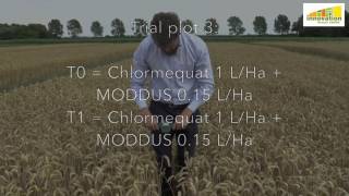 Syngenta MODDUS  uprooting your cereal crop with newton meter [upl. by Melba]