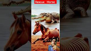 shortsweak Arabian horse 🐴 vs crocodile 🐊 horse [upl. by Bremser]