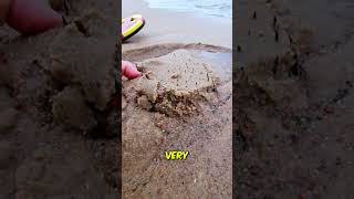 This is why you should never walk barefoot on the beach 😱😰 [upl. by Eetsim]