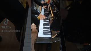 I played Demon Slayer Songs on Piano in Public at SaintLazare [upl. by Bush]