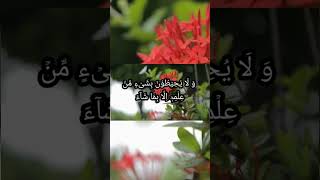 Aayat ul kursi آیۃ الکرسی [upl. by Alusru]