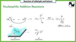 Nucleophilic addition reaction mechanism class 12 [upl. by Orazio]