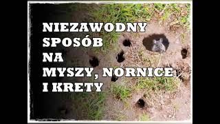 Niezawodny sposób na myszy krety i nornice bardzo krótki film [upl. by Kathrine]