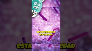 ¡Robert Koch El Cazador de Bacterias curiosidades sabiasque historia medicina ciencia shorts [upl. by Nais]