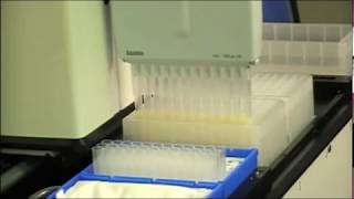 AutoPlasmid MEA Miniprep and Midiprep Plasmid Prep [upl. by Eerized814]