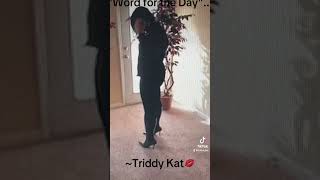 triddykat [upl. by Richie]