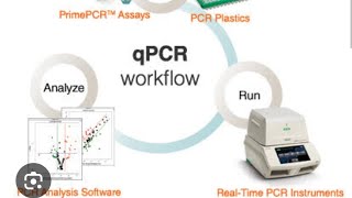 AIIMSampNEET BIOLOGY ampCSIRNET LIFESCIENCES w BIOTECHNOLOGYRealTie Pcr [upl. by Clancy]