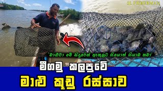 Amazing A Thrilling Cage Fishing Experience in the Lagoon [upl. by Navoj]