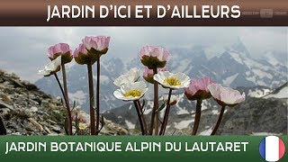 Jardins dici et dailleurs  Jardin alpin du Lautaret  Villar dArène  France 🌲 [upl. by Amedeo]