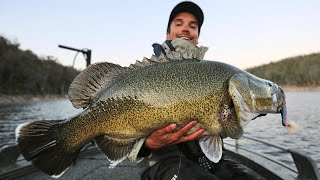 Copeton Dam  Murray cod fishing [upl. by Elgar]