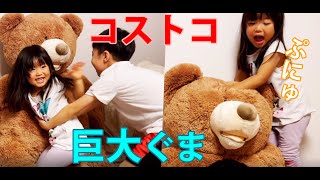 コストコの巨大なクマのぬいぐるみが登場！、大きい！ [upl. by Mukerji]