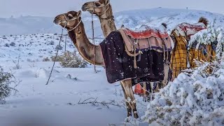 Snow in the Desert Is Saudi Arabias Rare Snowfall a Sign of the End Times [upl. by Annoyik]