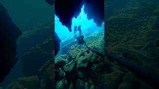 Little lava cave 💙 lavatube lava underwater ocean freediver freediving [upl. by Iroak]