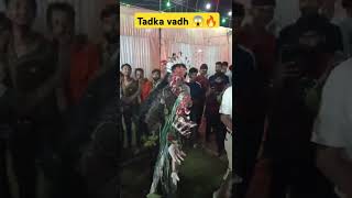 Tadka vadh 2024 ramleela tadka tadkavadh [upl. by Yromas861]