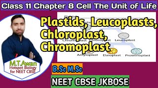 Lecture 17 Class 11 Biology Plastids leucoplasts Chromoplasts Chloroplasts NEET CBSE [upl. by Elburt]