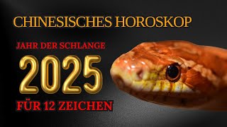 Chinesisches Horoskop für 2025  nach Geburtsjahr  Jahr der Schlange [upl. by Teddie]